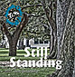 Still Standing